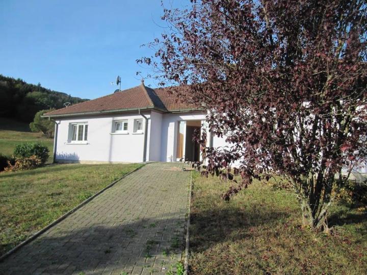 Ravalement de Façade Mulhouse dans le Haut-Rhin